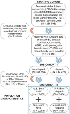 Racial/ethnic differences in the clinical presentation and survival of breast cancer by subtype